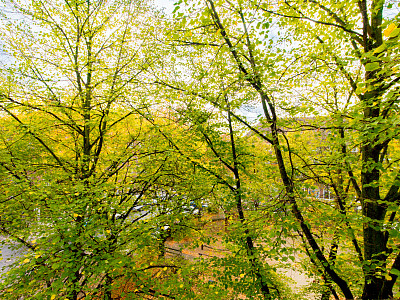 View out of the window
