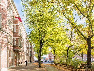 neighbourhood