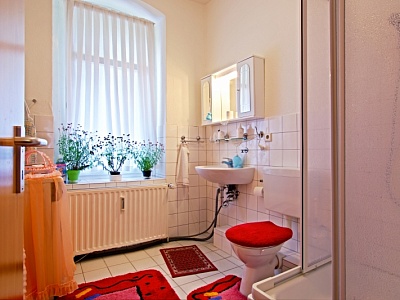 salle de bain / WC