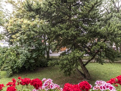 Ausblick vom Balkon