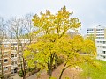 Ausblick vom Balkon