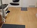 immobilien in hannover